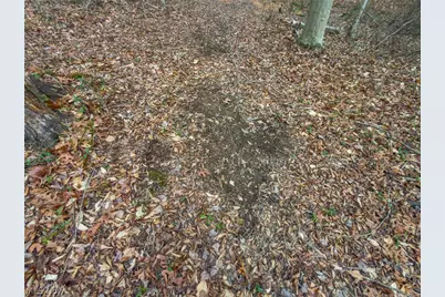 0 Long Fork, Piketon, OH 45661 - Photo 9