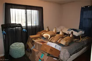 10024 Cummins Ln, Deerfield, OH 44411 - Photo 11