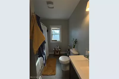 1305 W 106th Street, Loveland, OH 44102 - Photo 23