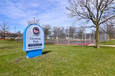 16412 Elsienna Avenue, Loveland, OH 44135 - Photo 39