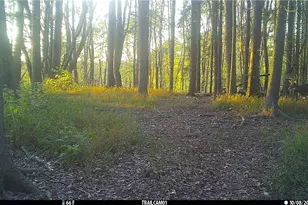 2210 Scroll Rd SW, Carrollton, OH 44615 - Photo 47