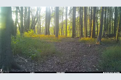 2210 Scroll Road SW, Carrollton, OH 44615 - Photo 39