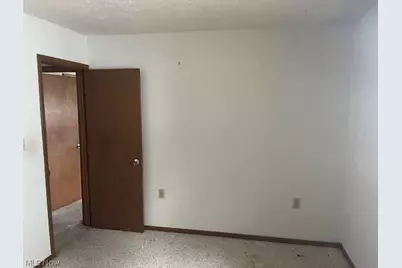 219 W College Street, Scio, OH 43988 - Photo 15