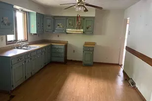 219 W College St, Scio, OH 43988 - Photo 3