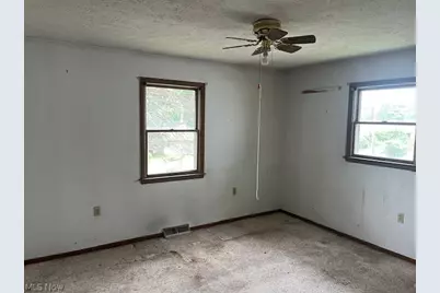 219 W College Street, Scio, OH 43988 - Photo 9