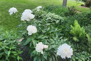 6360 Ramblewood Dr, Mentor, OH 44060 - Photo 47