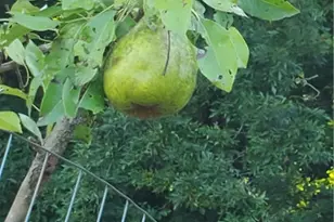 41264 Township Rd 58, Coshocton, OH 43812 - Photo 49