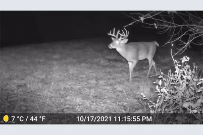 41264 Township Road 58, Coshocton, OH 43812 - Photo 45