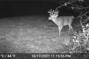 41264 Township Rd 58, Coshocton, OH 43812 - Photo 45