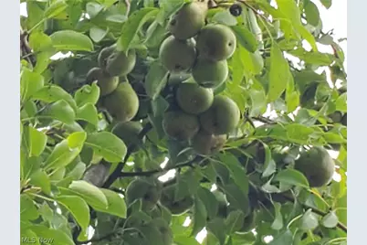 41264 Township Road 58, Coshocton, OH 43812 - Photo 41