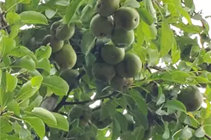 41264 Township Rd 58, Coshocton, OH 43812 - Photo 41