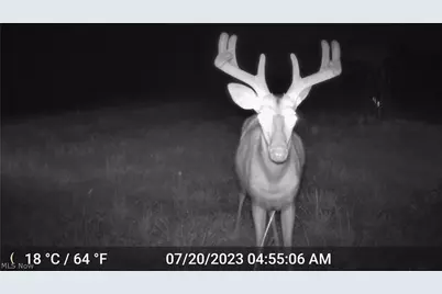 41264 Township Road 58, Coshocton, OH 43812 - Photo 39