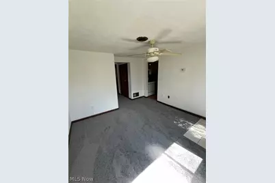 1010 Moneta Avenue, Aurora, OH 44202 - Photo 3