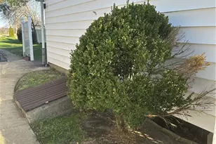 207 South Sycamore, Woodsfield, OH 43793 - Photo 7