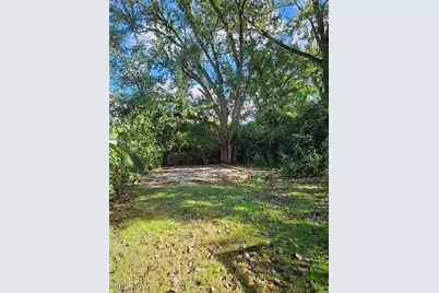 1859 Sheffield Drive, Akron, OH 44320 - Photo 3