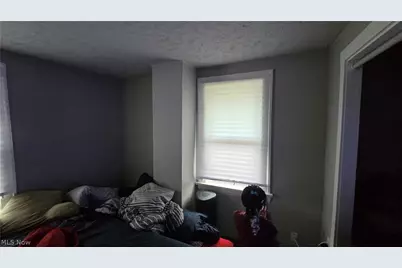 11105 Revere Avenue, Loveland, OH 44105 - Photo 13