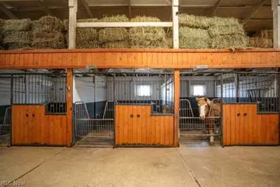 7821 Ferguson Road, Streetsboro, OH 44241 - Photo 23