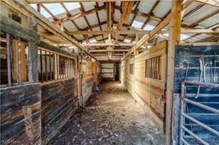 91100 Eckley Rd, Jewett, OH 43986 - Photo 17