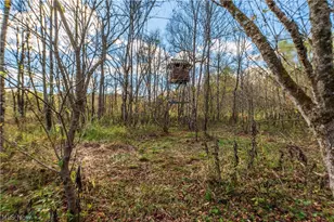 59501 Nevada Rd, Quaker City, OH 43773 - Photo 45