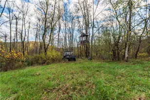 59501 Nevada Rd, Quaker City, OH 43773 - Photo 41