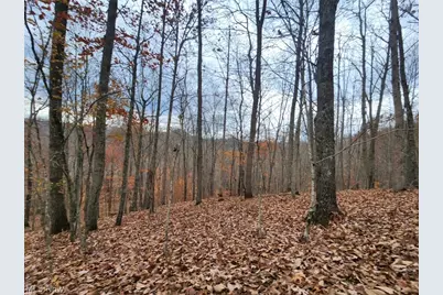 3593 Moore Fork Rd., Duck, WV 25063 - Photo 23