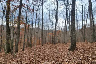3593 Moore Fork Rd, Duck, WV 25063 - Photo 23