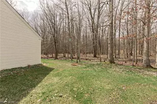 3436 Teal Ct, Aurora, OH 44202 - Photo 41