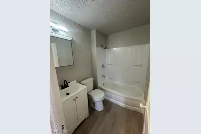 3153 E 102nd Street, Loveland, OH 44104 - Photo 11