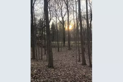 1022 Big Bass Road, Willard, OH 44890 - Photo 39