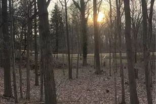 1022 Big Bass Rd, Willard, OH 44890 - Photo 39