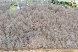 40126 Jones Rd, Wellington, OH 44090 - Photo 47