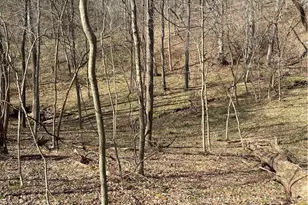 19129 Felton Rd, Stewart, OH 45778 - Photo 37