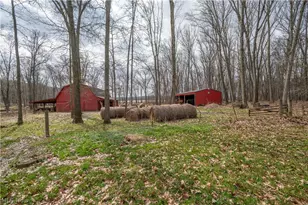 17917 Ellsworth Rd, Lake Milton, OH 44429 - Photo 39