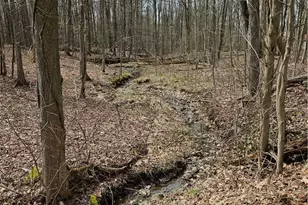 12684 Taylor Wells Rd, Chardon, OH 44024 - Photo 39