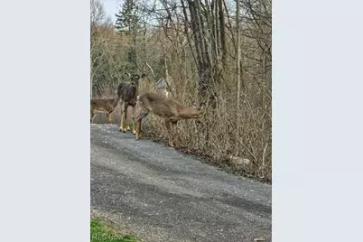 243 Rinker Road, Steubenville, OH 43952 - Photo 15