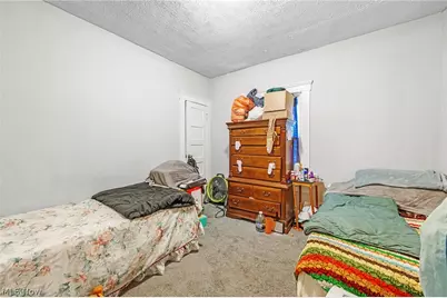 16118 Arcade Avenue, Loveland, OH 44110 - Photo 9