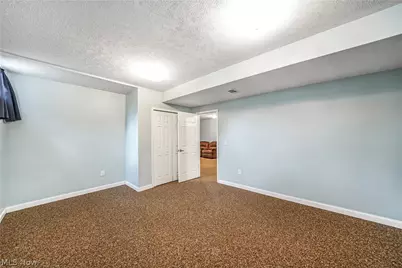 11538 Wheeler Road, Garrettsville, OH 44231 - Photo 19