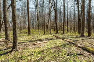31370 Cadiz-Dennison Rd, Uhrichsville, OH 44683 - Photo 43