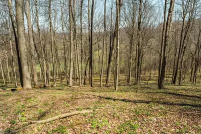 31370 Cadiz Dennison Road, Uhrichsville, OH 44683 - Photo 41