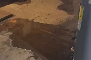 11777 Abbott Rd, Hiram, OH 44234 - Photo 23