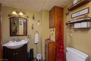 10770 Dot Ave NE, Alliance, OH 44601 - Photo 21