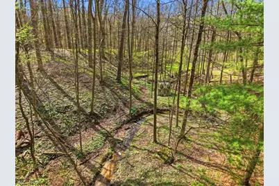 6055 Deepwood Drive, Chagrin Falls, OH 44022 - Photo 3