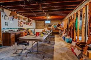 5329 Slater Rd, Williamsfield, OH 44093 - Photo 45
