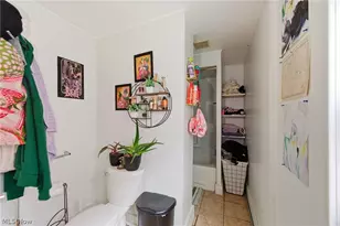 1432 W 110th St, Loveland, OH 44102 - Photo 19