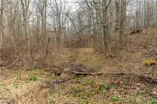 18579 Hobbler Ln, Lore City, OH 43755 - Photo 47