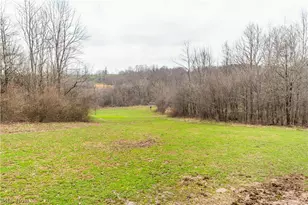 18579 Hobbler Ln, Lore City, OH 43755 - Photo 45