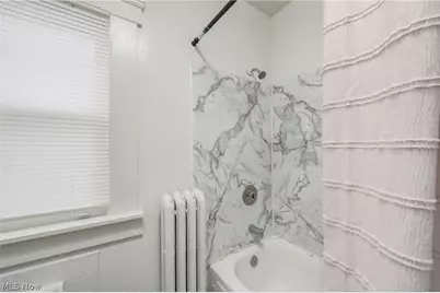 15301 Daniel Avenue, Loveland, OH 44110 - Photo 27