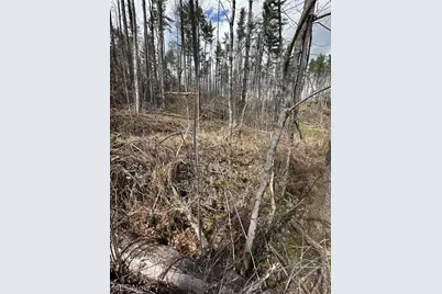 44800 Jim Stimpert Road, Lewisville, OH 43754 - Photo 29