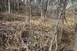 44800 Jim Stimpert Rd, Lewisville, OH 43754 - Photo 29