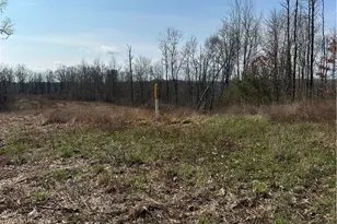 44800 Jim Stimpert Rd, Lewisville, OH 43754 - Photo 31